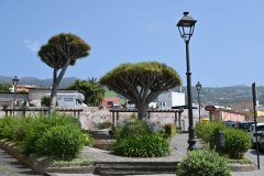 plaza de san francisco, la orotava