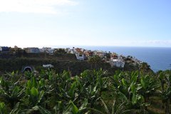 san vicente, los realejos