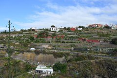 vista de san vicente, los realejos