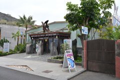 mariposario del drago, icod de los vinos