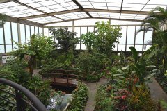 mariposario del drago, icod de los vinos