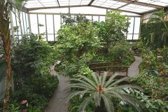 mariposario del drago, icod de los vinos