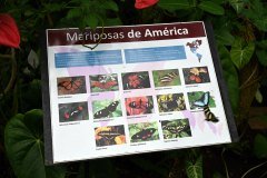 mariposario del drago, icod de los vinos