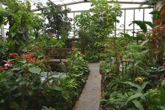 mariposario del drago, icod de los vinos