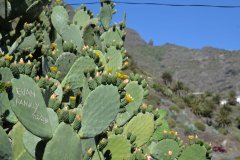 masca, parque rural de teno