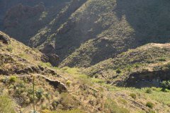 masca, parque rural de teno