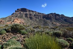 guajara, parque nacional del teide