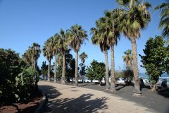 playa jardín, puerto de la cruz