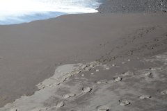 playa jardín, puerto de la cruz