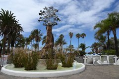 lago martianez