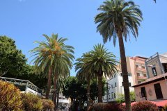 plaza del charco