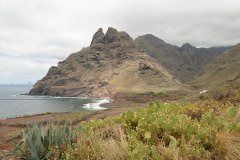 punta de hidalgo