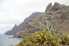 punta de hidalgo