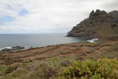 punta de hidalgo