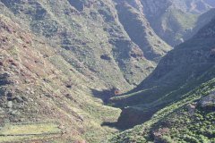 punta de hidalgo