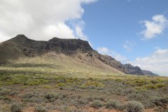 punta de teno