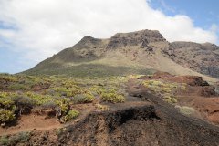 punta de teno