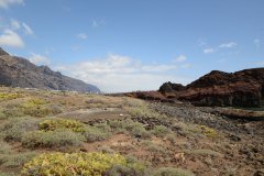 punta de teno