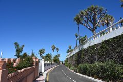 vista paraiso