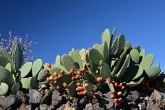 santiago del teide
