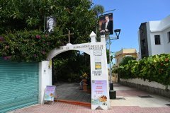 sitio litre, jardín de orchídeas