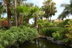 sitio litre, jardín de orchídeas