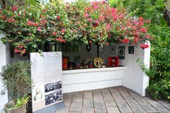 sitio litre, jardín de orchídeas