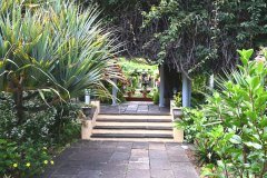 sitio litre, jardín de orchídeas