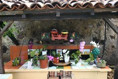 sitio litre, jardín de orchídeas