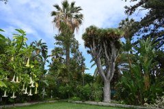 sitio litre, jardín de orchídeas