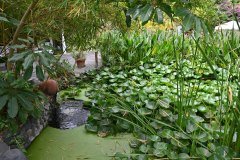 sitio litre, jardín de orchídeas