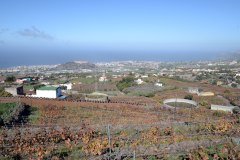 valle de la orotava